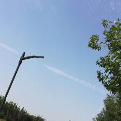旋风伐木工游戏安装